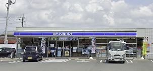 コンビニ　ローソン 久留米南三丁目店（コンビニ）まで698m