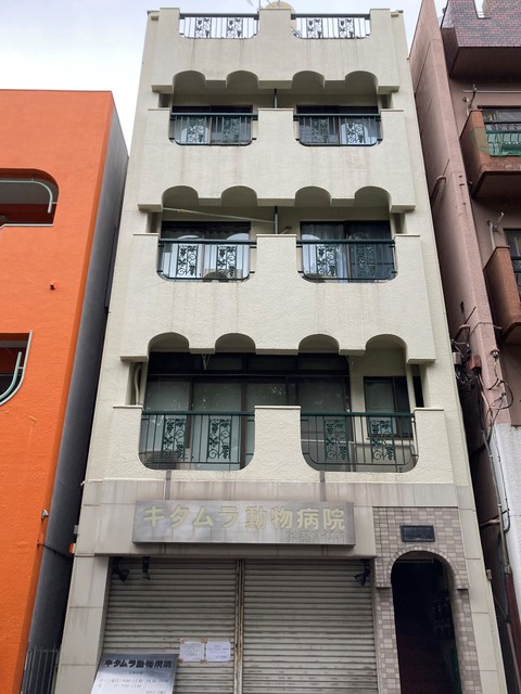 建物外観　新生活を始めるのにいかがですか？