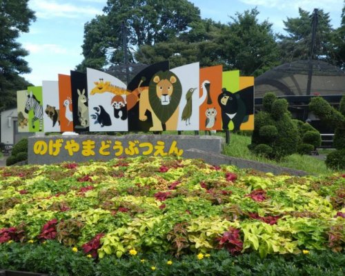 その他　野毛山動物園（その他）まで2655m