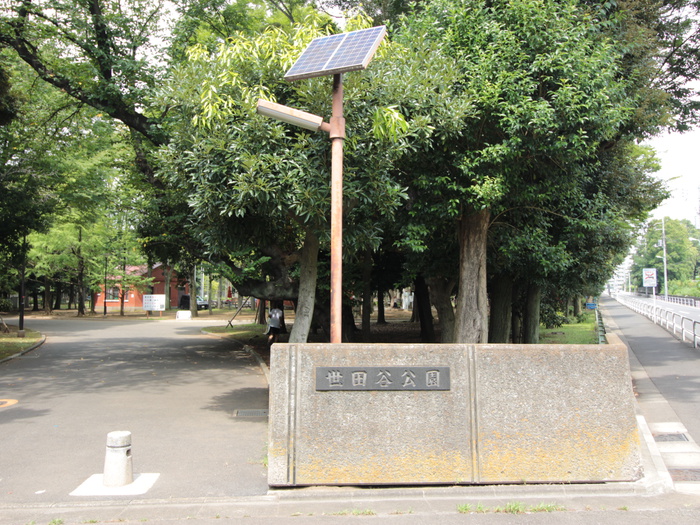 公園　世田谷公園（公園）まで650m