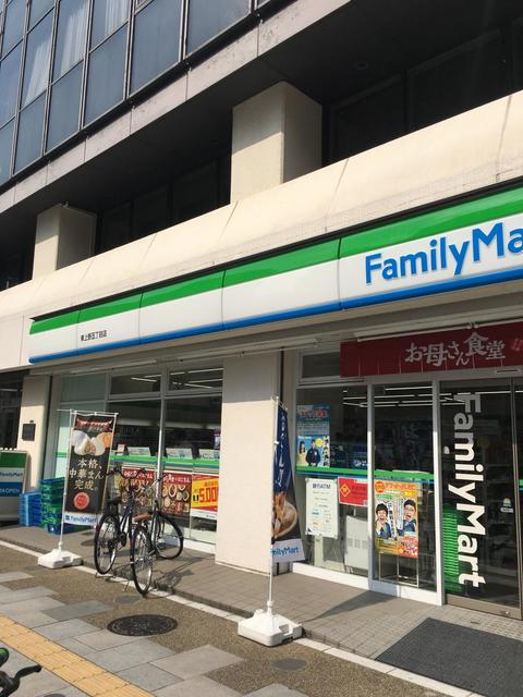 コンビニ　ファミリーマート東上野五丁目店（コンビニ）まで711m