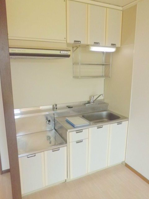 キッチン　上下の収納も豊富なガス２口設置可キッチン