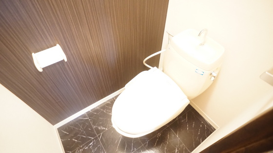 メゾン奥村のトイレ写真