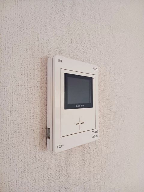 サンシャインナオコのその他写真
