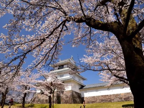 【長岡市若草町のアパートの公園】