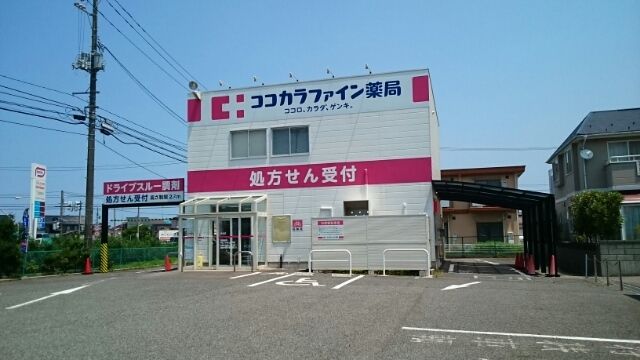 ドラックストア　ココカラファイン薬局寺地店（ドラッグストア）まで1600m