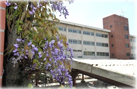 高校・高専　岡山県立倉敷古城池高校（高校・高専）まで980m