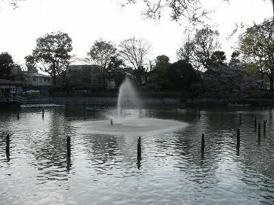 公園　碑文谷公園（参考）（公園）まで349m