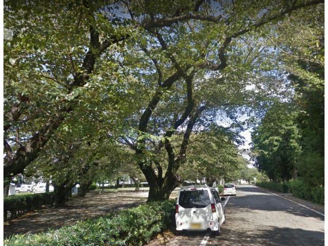 公園　第2号緑町緑地（公園）まで518m