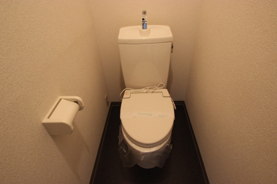 トイレ　※写真は別号室のものです。