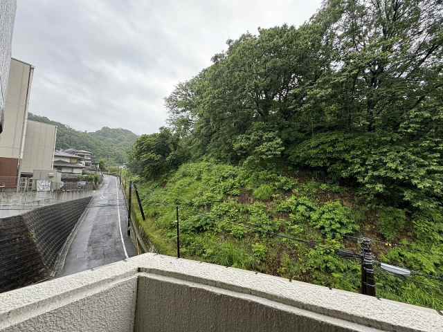 眺望　駐車場