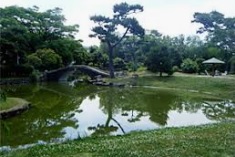 【ハーモニーテラス浜口西IIの公園】