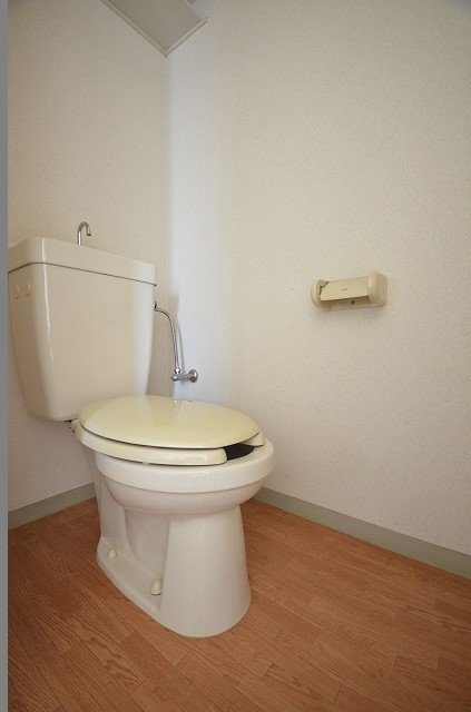 トイレ　同物件、別号室の写真です