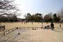 公園　新森中央公園（公園）まで590m