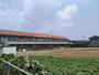幼稚園・保育園　富里市立富里幼稚園（幼稚園・保育園）まで1184m