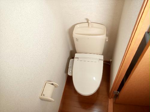 トイレ　備品や設備仕様は号室等により異なります現地をご確認下さい。