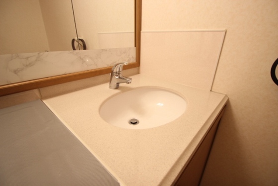 洗面設備　※別号室のお写真です。