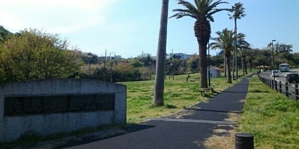 公園　佐島の丘公園（公園）まで230m
