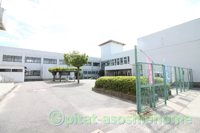 小学校　米原市立坂田小学校（小学校）まで1019m