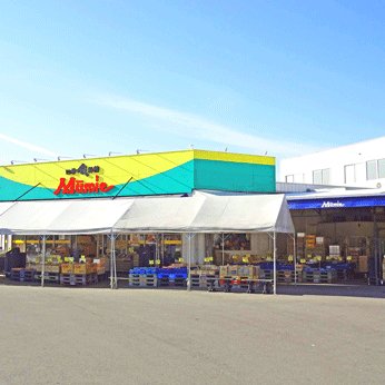 スーパー　クスリのアオキムーミー三本松店（スーパー）まで586m