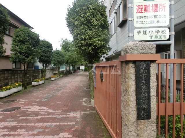 小学校　草加市立草加小学校（小学校）まで621m