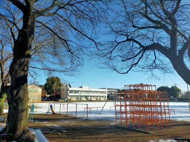 小学校　古河市立古河第三小学校（小学校）まで497m