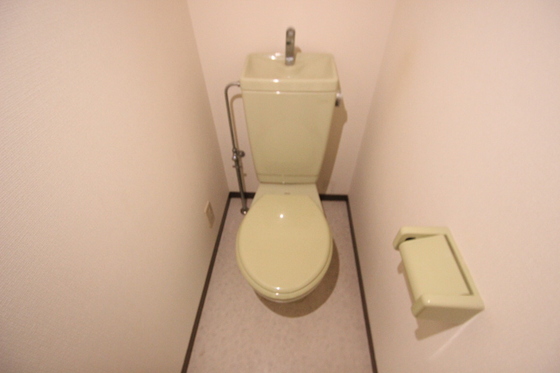 トイレ　※別号室の写真です