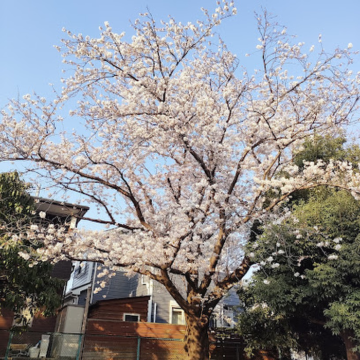 公園　駒形公園（公園）まで400m