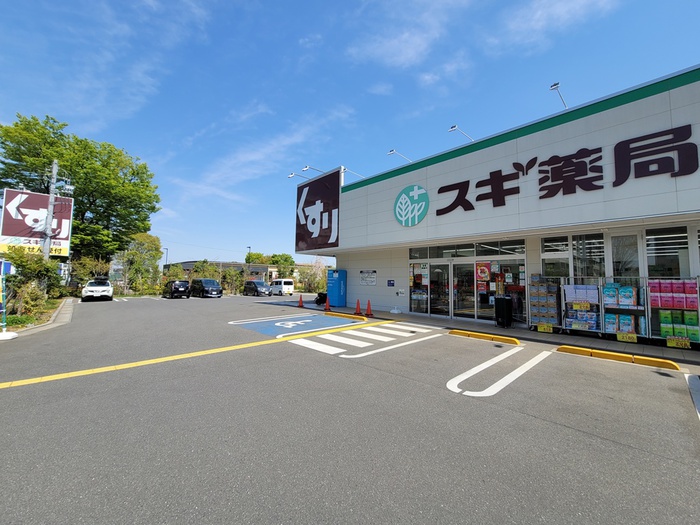 ドラックストア　スギ薬局　東久留米上の原店（ドラッグストア）まで290m