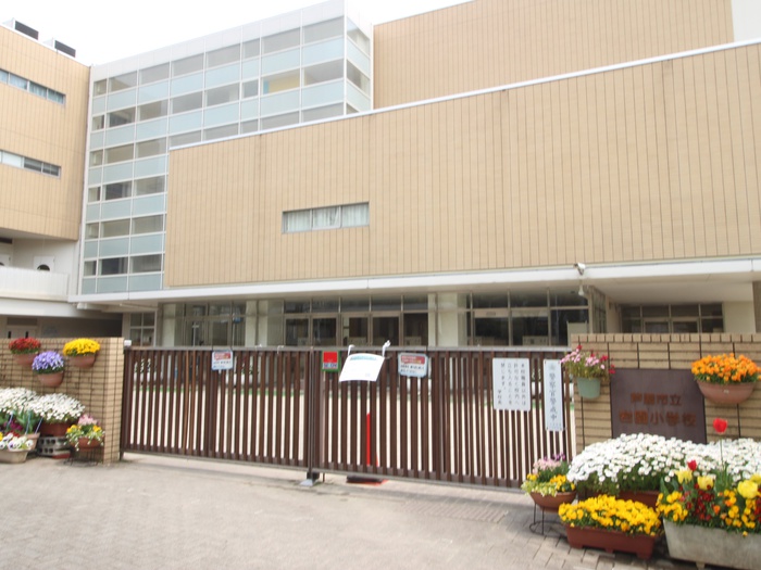 小学校　岩園小学校（小学校）まで550m