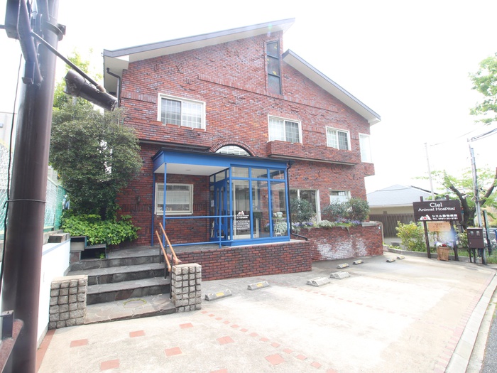 病院　シエル動物病院（病院）まで650m