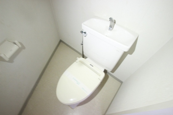 トイレ　※別号室の写真です