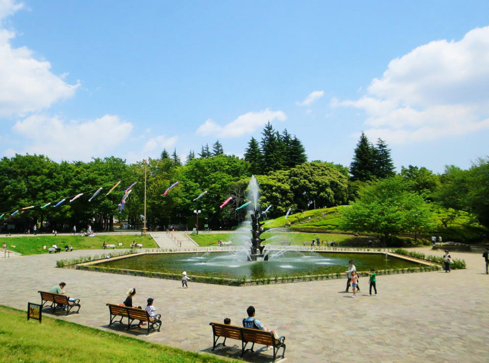 公園　世田谷公園（公園）まで873m