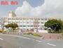 小学校　神戸市立南落合小学校（小学校）まで300m