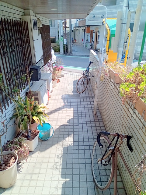 エントランス　★植栽が映えるエントランス★