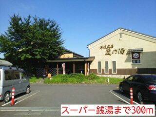 その他　スーパー銭湯（その他）まで300m