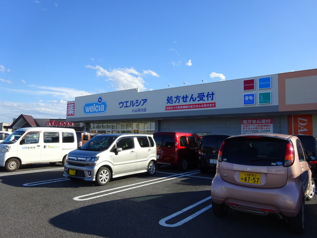 ドラックストア　ウエルシア小山羽川店（ドラッグストア）まで1022m