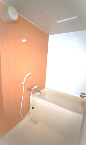 バス・シャワールーム　※こちらは別号室のお部屋の写真です。