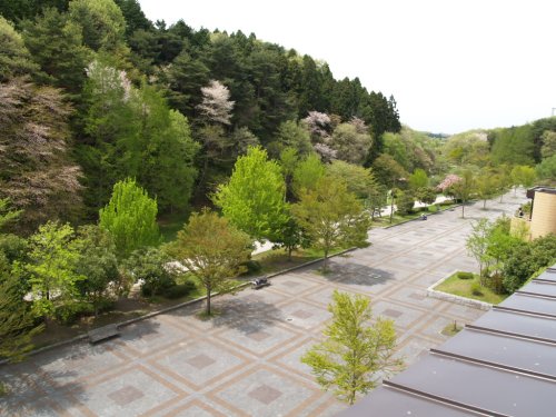 公園　台原森林公園（公園）まで922m