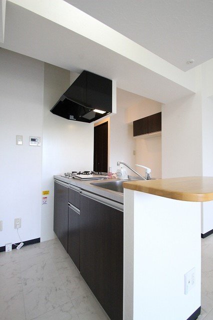 キッチン　同物件、別号室のものです。