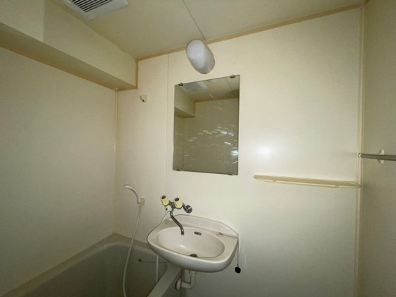 洗面設備　※別号室の写真です