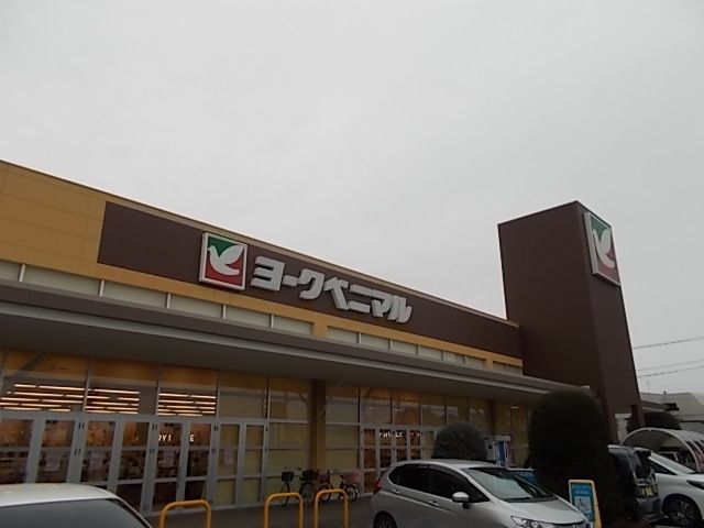 スーパー　ヨークベニマル赤塚店（スーパー）まで1000m