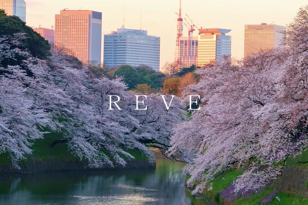 その他　千鳥ヶ淵（その他）まで2020m