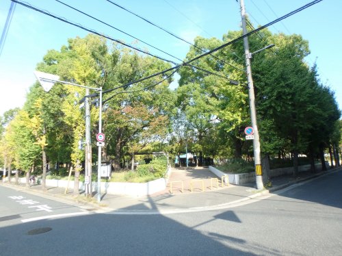 公園　公園（公園）まで439m