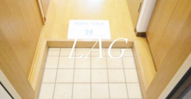 玄関　玄関（同仕様）です。