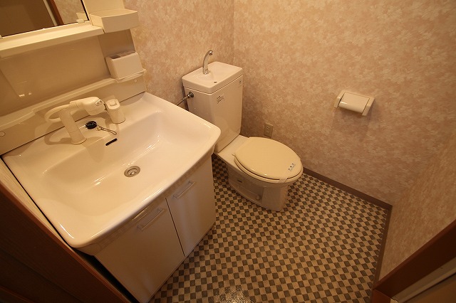 トイレ　サニタリータイプのオシャレな水周り。