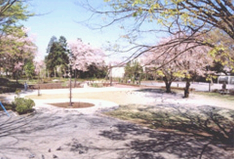 公園　諏訪の森公園（公園）まで624m