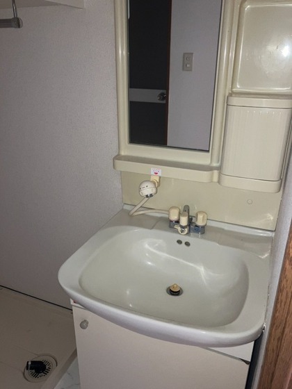 洗面設備　※他号室の写真です