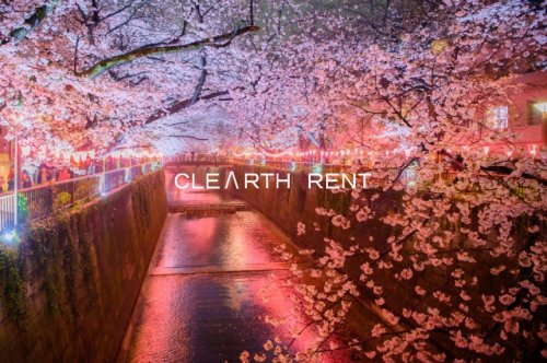 その他　目黒川（その他）まで271m