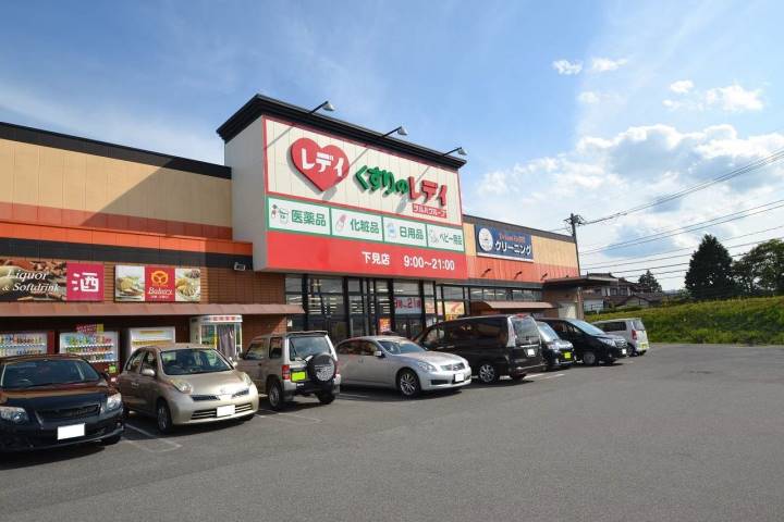 ドラックストア　レディ薬局下見店（ドラッグストア）まで1100m